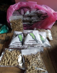 Kacang rondam 4A