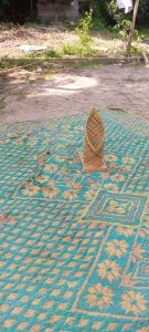 Tempat tisu duduk